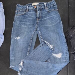 PAC sun distressed Women's Jeans